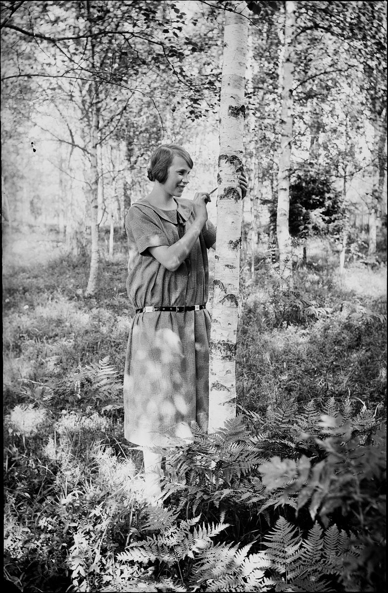 Ung kvinna ristar i barken på en björk, Alunda, Uppland