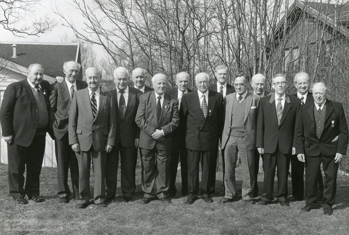 Krigsveteraner 1995