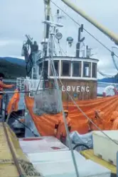 Tromsø 1985 : Båten "Løveng" ligger til kai, mannskapet håve