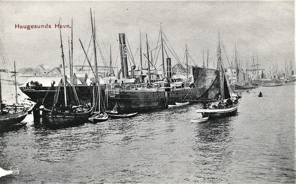 Postkort med bilde av Indre kai i Haugesund. Det er tett med båter i Smedasundet. B. Stolt-Nielsens dampskip "Rask" og "Mercur" ligger for anker med seilbåter på alle sider.
