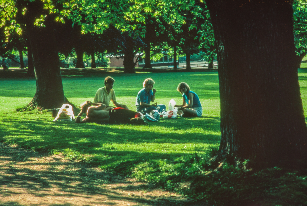 Ungdomar har picnic i en park i Linköping.
Här behöver vi er hjälp: Vilken park är det?

Bilder från staden Linköping digitaliserade från diapositiv. Bilderna är från 1970-1990-talet.