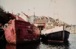 Bankfisken i Kristiansund i 1984. Ved mellemvarven.