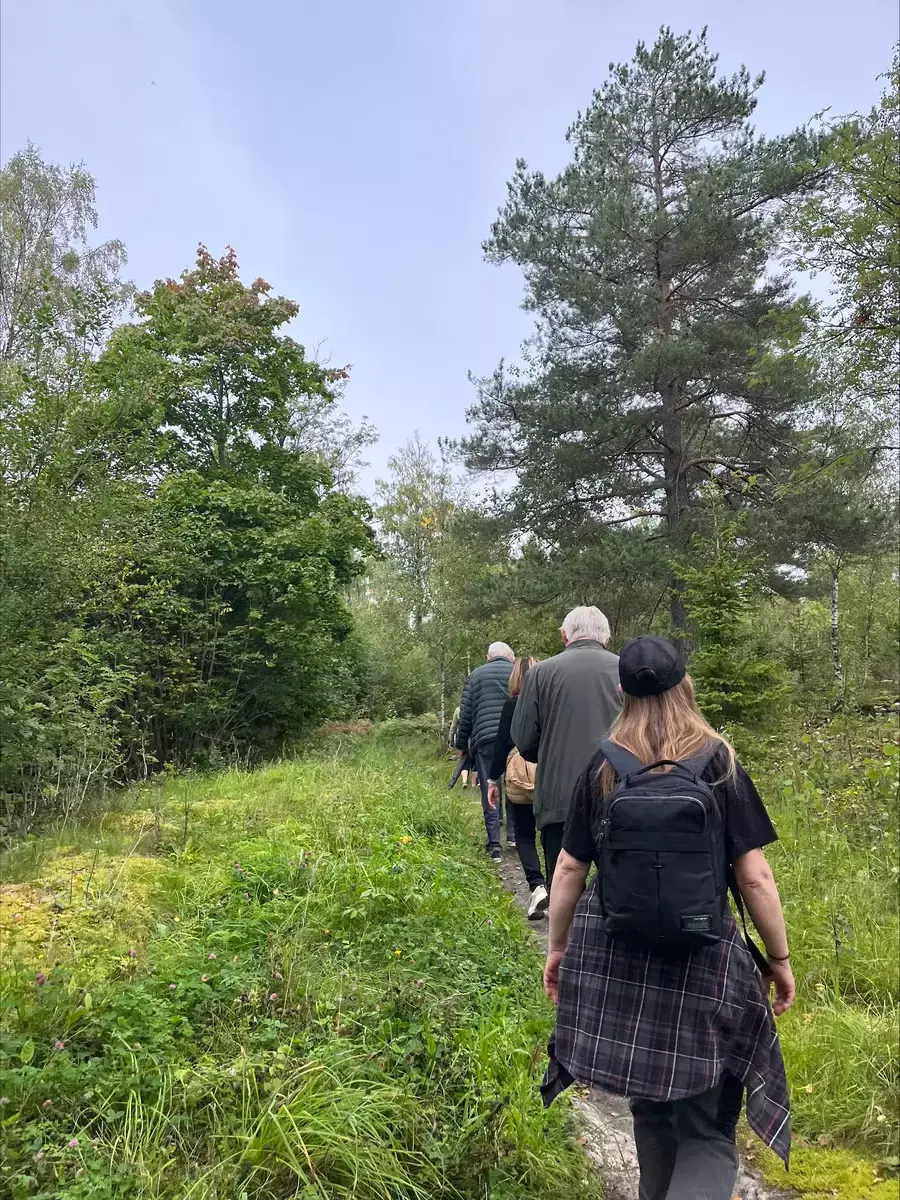 Fotografi hvor man ser flere som går innover på en åpen skogssti, ryggen til kamera. Det er blå himmel, grønt  buskas på bakken og trær rundt.