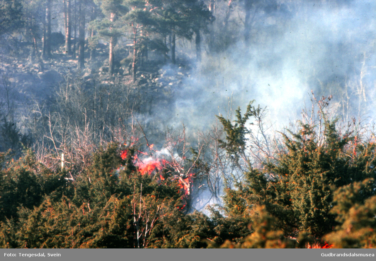 Skogbrann på Ramstadstrond 18. mai 1977