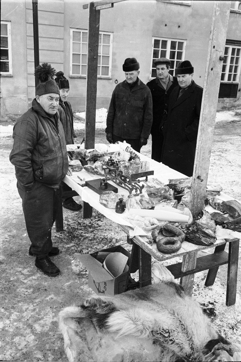 Distingsmarknad, försäljning av renkött och renskinn, Uppsala februari 1965