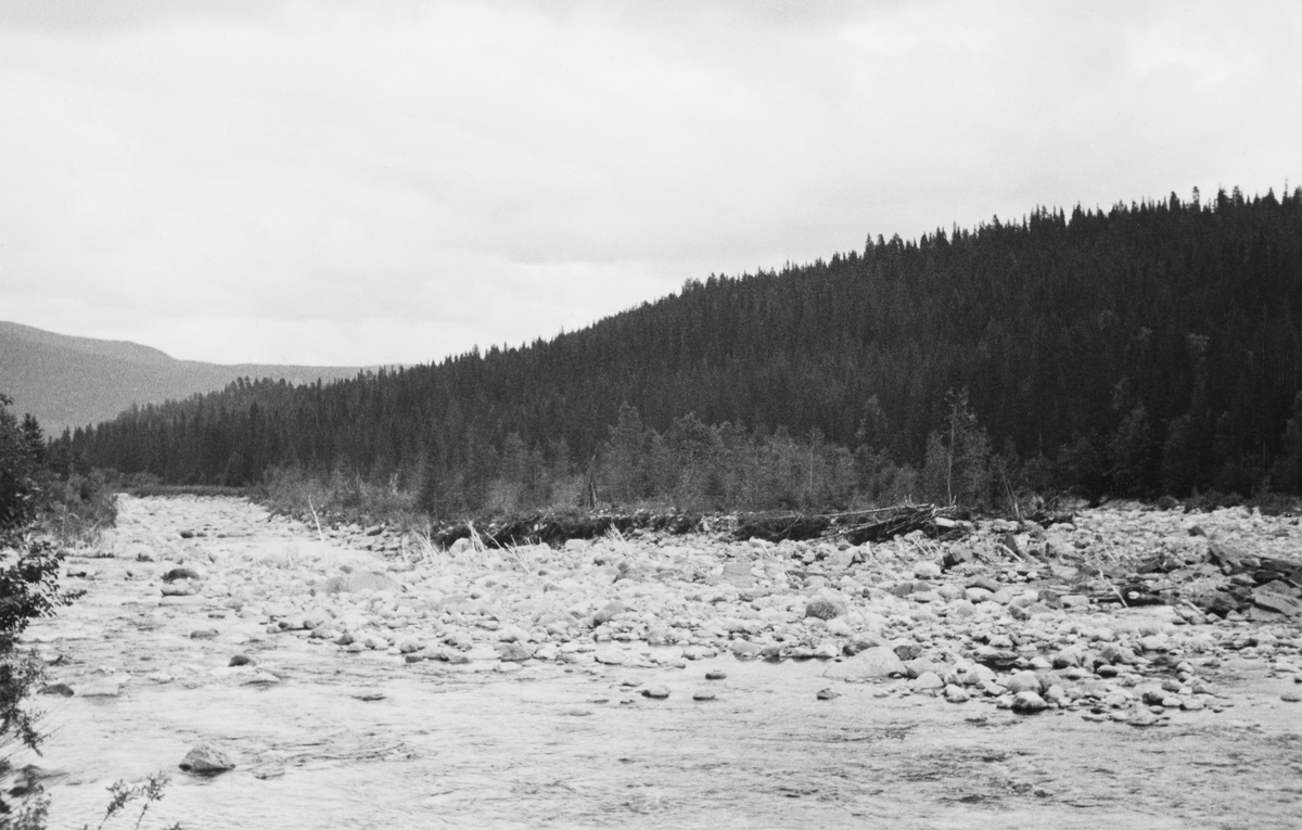 Elveløpet i Imsa i Stor-Elvdal i Hedmark, litt nedenfor Eldåoset, der vann fra de to Eldåene forenes med hovedvassraget. Dette fotografiet er tatt høsten 1935, cirka ett år etter at cirka ett år etter at en storflom hadde forårsaket store ødeleggelser i dette området. Et kraftig høstregn utløste ras i ei sandmæl ved sideelva Eldåa. Rasmassene sperret i første omgang åløpet, men da trykket fra vannmassene ble stort nok brast denne dammen. Vannmassene skylte med seg jord, stein og trær og gjorde stor skade på de forbygningene som skulle lette fløtinga. På det stedet der dette fotografiet er tatt hadde det vært lange «skådammer» - skjermer langs elvebreddene som skulle forebygge at fløtingstømmeret drev til skogs i under høy vannføring – som ble ødelagt av flomvannet. Etterpå samlet Christiania Tømmerdirektions fløtingsinspektør sentrale aktører i den lokale fløtingsforeningen for å diskutere hvilke tiltak som måtte til for å gjøre den nedre delen av dette vassdraget fløtbart igjen. Da dette fotografiet ble tatt var elvelandskapet fortsatt tydelig preget av den omfattende erosjonen flommen hadde utløst. Elveløpet var fylt av til dels grov stein, og ved høyre elvebredd lå det trær som vannmassene hadde skylt med seg.
