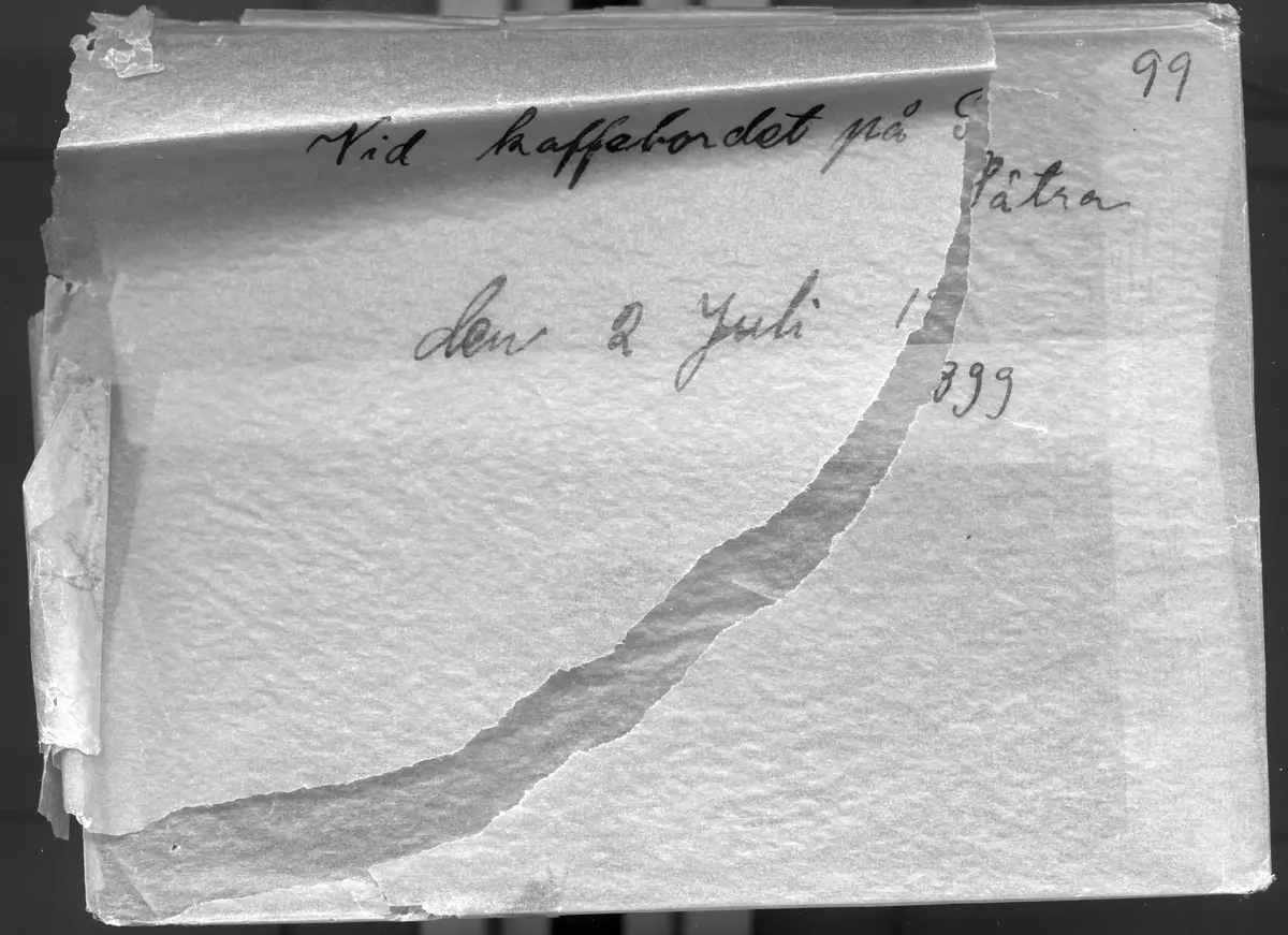 "Vid kaffebordet på Sätra den 2 juni 1899."
Bilden är troligen tagen av Axel Pehrson som hade sommarställe på Sätra; Sjöstugan nere vid bryggan.