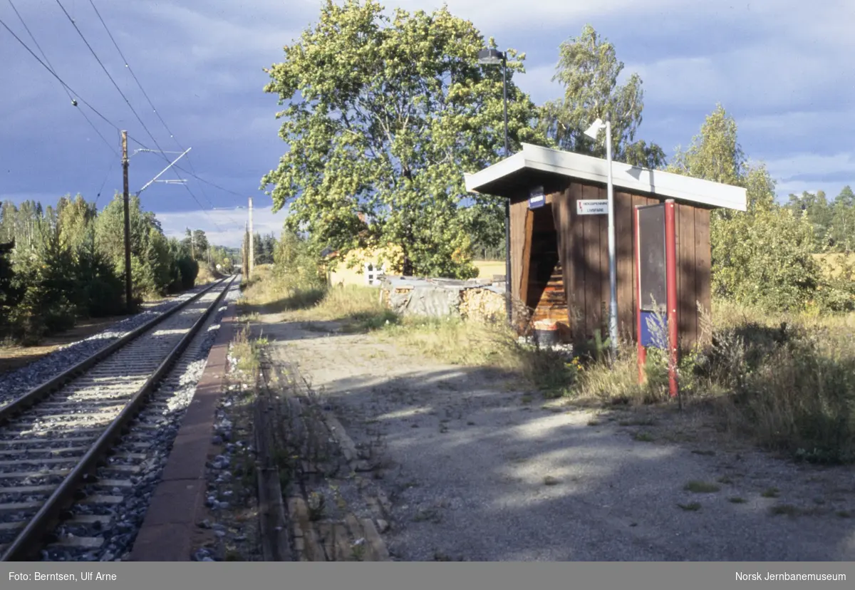 Drolsum nedlagte holdeplass mellom Vikersund og Tyristrand stasjoner på Randsfjordbanen