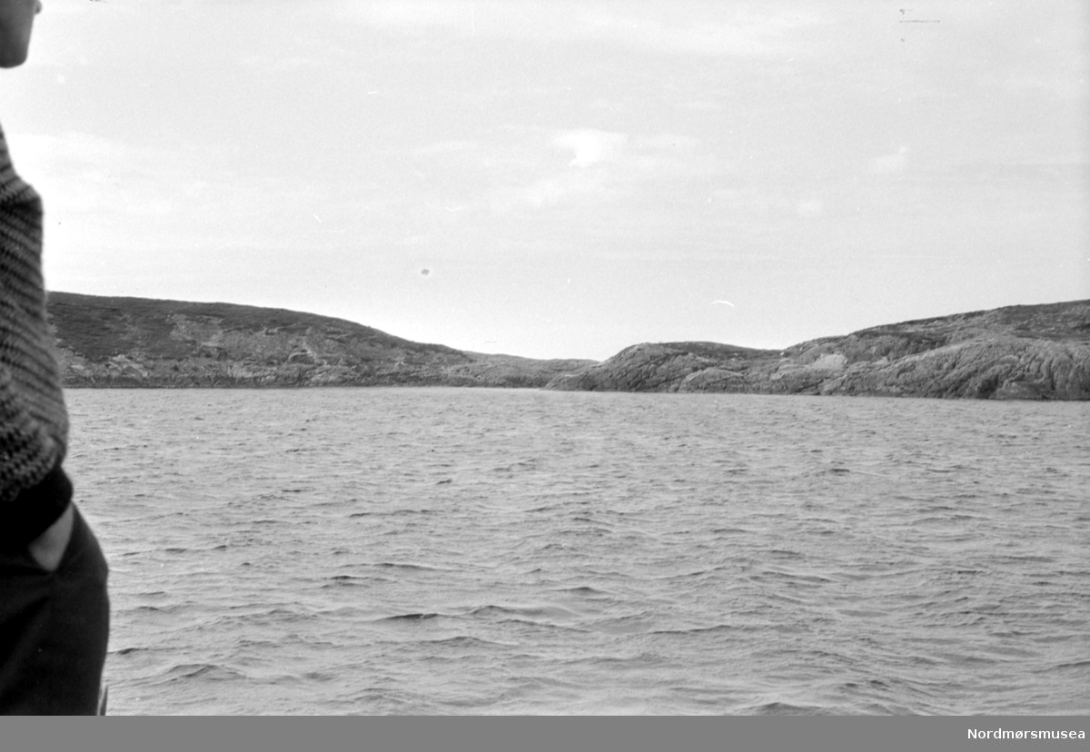 Fiske på fjorden. Bildet er datert til august 1966. Fra Romsdalspostens arkiv. 