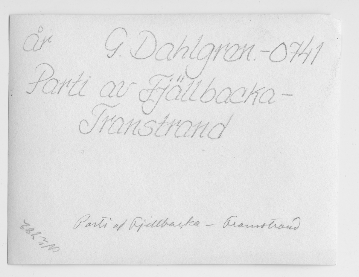 På kuvertet står följande information sammanställd vid museets första genomgång av materialet: Parti av Fjällbacka, Transtrand.