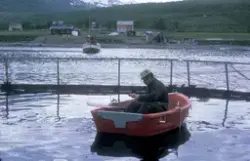 En mann ombord en robåt som ligger på innsiden av ei oppdret