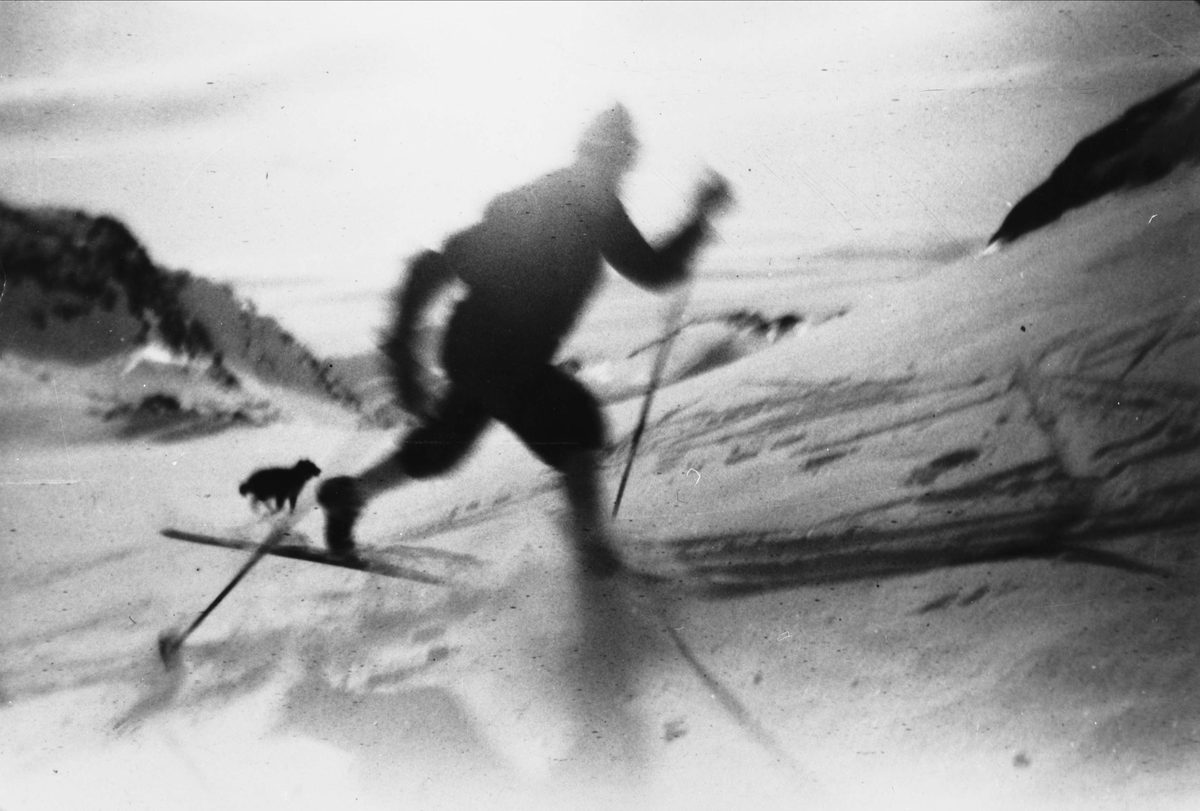 Oddvar Henriksen på skitur med hund.