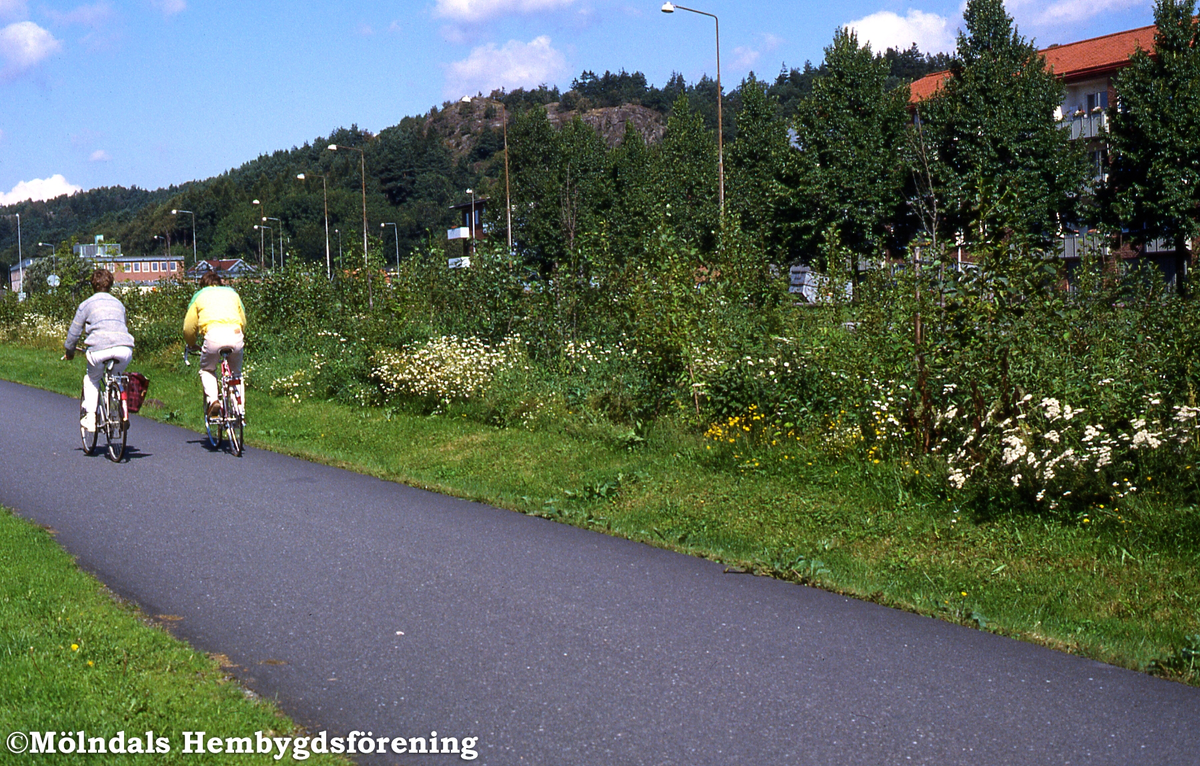 Två cyklister cyklar på GCM-leden som går till Jungfruplatsen i Mölndal, år 1985. Ogräs växer vid sidan av leden.