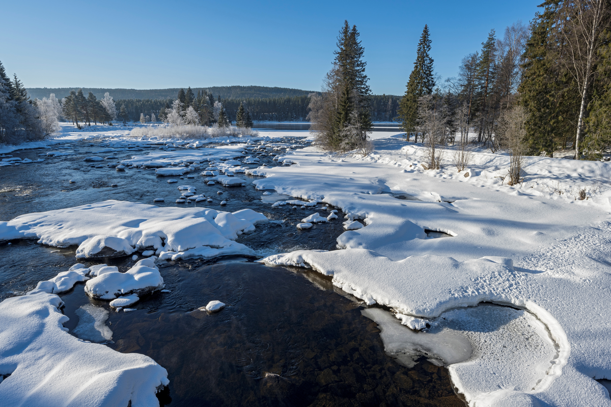 Fra nedre del av Klokkerfossen i Glomma i Elverum kommune i Hedmark, fotografert fra Klokkerfossbrua, i medstøms retning, på en seinvinterdag i 2022, da vannføringa i elva var meget beskjeden. Bildet er tatt i motlys, som gir fine toner i vannet og i på snøen på de isdekte partiene i elveløpet. Klokkerfossen er betegnelsen på elvas østre løp forbi Prestøya, der det nordvestre løpet kalles Prestfossen. Klokkerfossen har antakelig fått dette navnet fordi gårdsbruket Fossum på østre elvebredd lenge var bosted for den av kommunens lærere som også skjøttet klokkerembetet i hovedkirka. I nyere tid har Norsk skogmuseum overtatt området. Til høyre i bildet ser vi den sørøstre delen av Prestøya, der museet i samarbeid med NVE har bygd en flomvoll som i flomperioder skal skjerme dammen der museets formidlere periodevis tilbyr opplæring i fritidsfiske for barn. Til venstre i bakgrunnen ser vi ned mot Elverum camping.