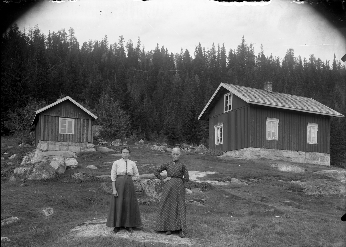 Gårdsmotiv fra gården Romsdalen med mor Martine (1855) og søster Inga Romsdalen (1889)  til Ole Romsdalen.

Fotosamling etter fotograf og skogsarbeider Ole Romsdalen (f. 23.02.1893).