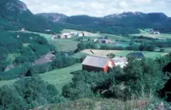Tex-Fisk, Bjugn 1986 : Prospektbilde, landskap og gårdsbygni