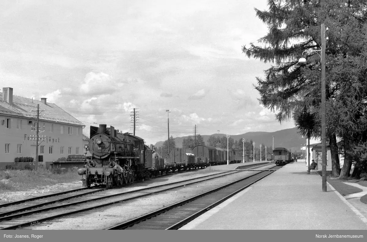 Godstog til Hamar på Koppang stasjon. Toget trekkes av damplokomotiv type 26a nr. 215.