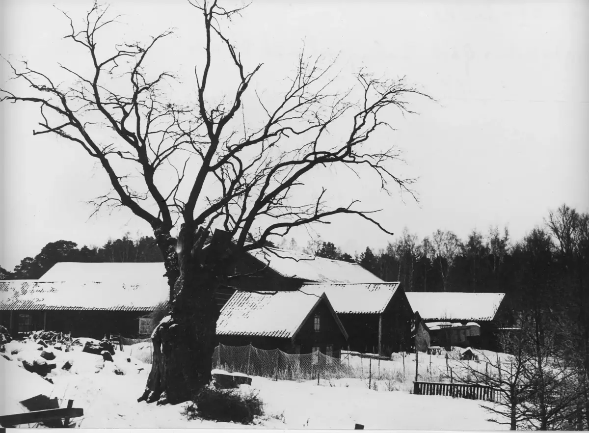 Viggbyholms gårds historia - Se relaterade objekt