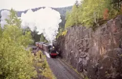 Damplokomotiv M2 "Menstad" med veterantog mellom Reistad og 