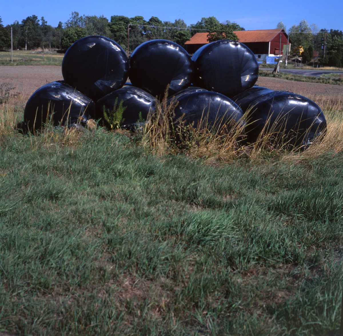 Ensilagebalar i svart plast placerade i gräset. I bakgrrunden syns en lada och skog.