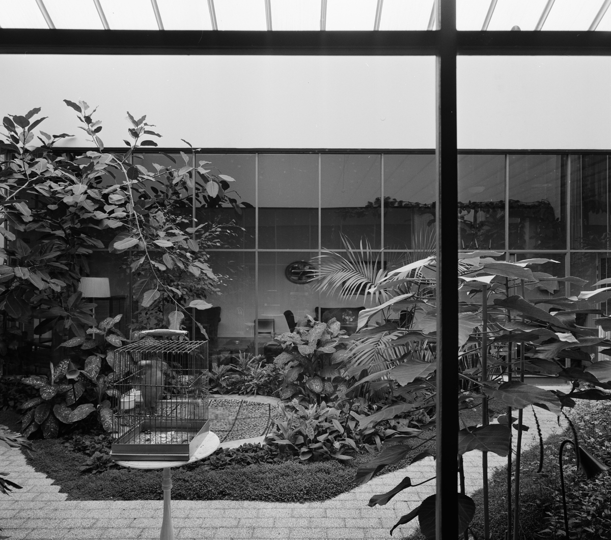 Vinterträdgård i Vällingehus
Fåglar i bur
Interiör