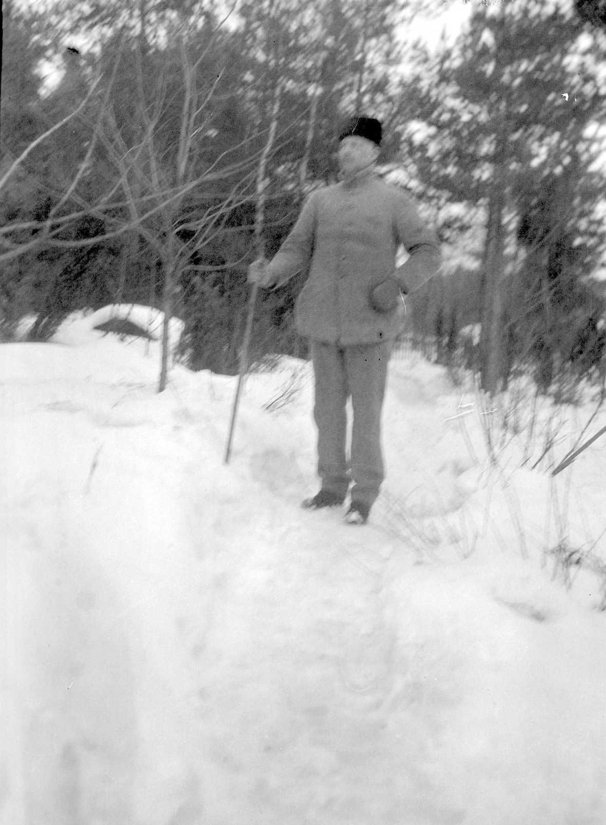 Porträtt av en man i skogen vintertid.