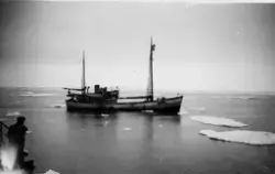 Ishavsskuten Sjannøy