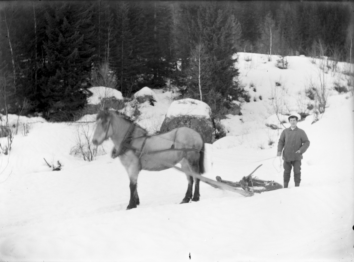 Portrett av mann med hest og tømmerslede.

Fotosamling etter fotograf og skogsarbeider Ole Romsdalen (f. 23.02.1893).