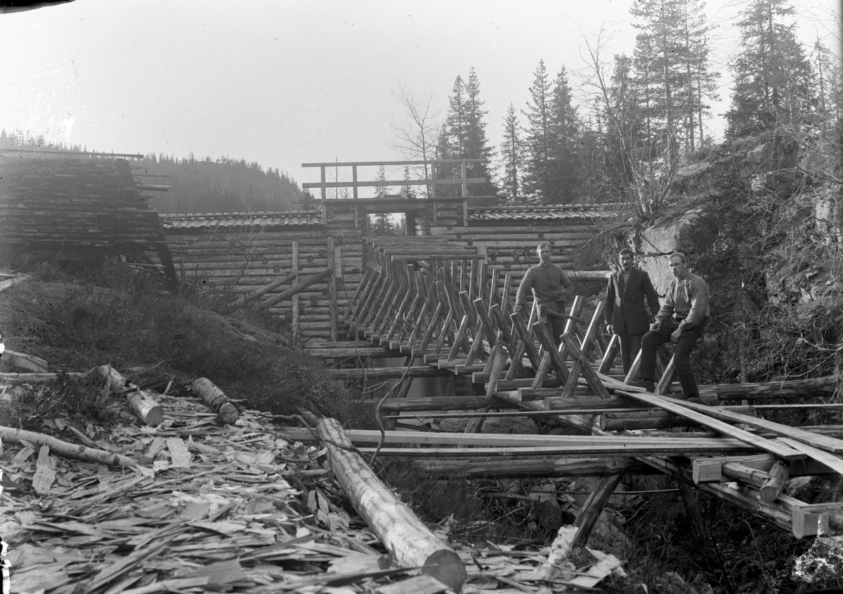 Motiv fra bygging av dam ved Nedre Setertjern. Tømmerrenna skulle gå til 
Godvannet. Bildet tatt ca 1920. Leder for arbeidet var Futen Gjøtterud.

Fotosamling etter fotograf og skogsarbeider Ole Romsdalen (f. 23.02.1893).