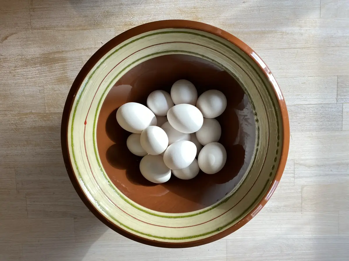 Egg