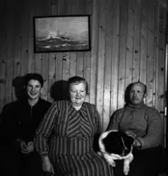 "Jo i Bjordalen"."60 år februar 1950"