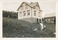 Tre barn står i en gressbakke foran et hus og et fjøs, det e