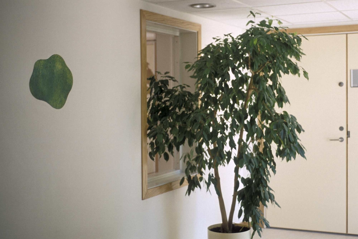 Maleriene har gress som motiv og skal gi assosiasjoner til noe behagelig.