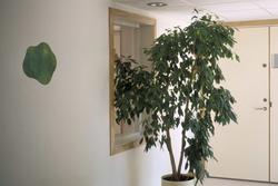 Uten tittel [Maleri]