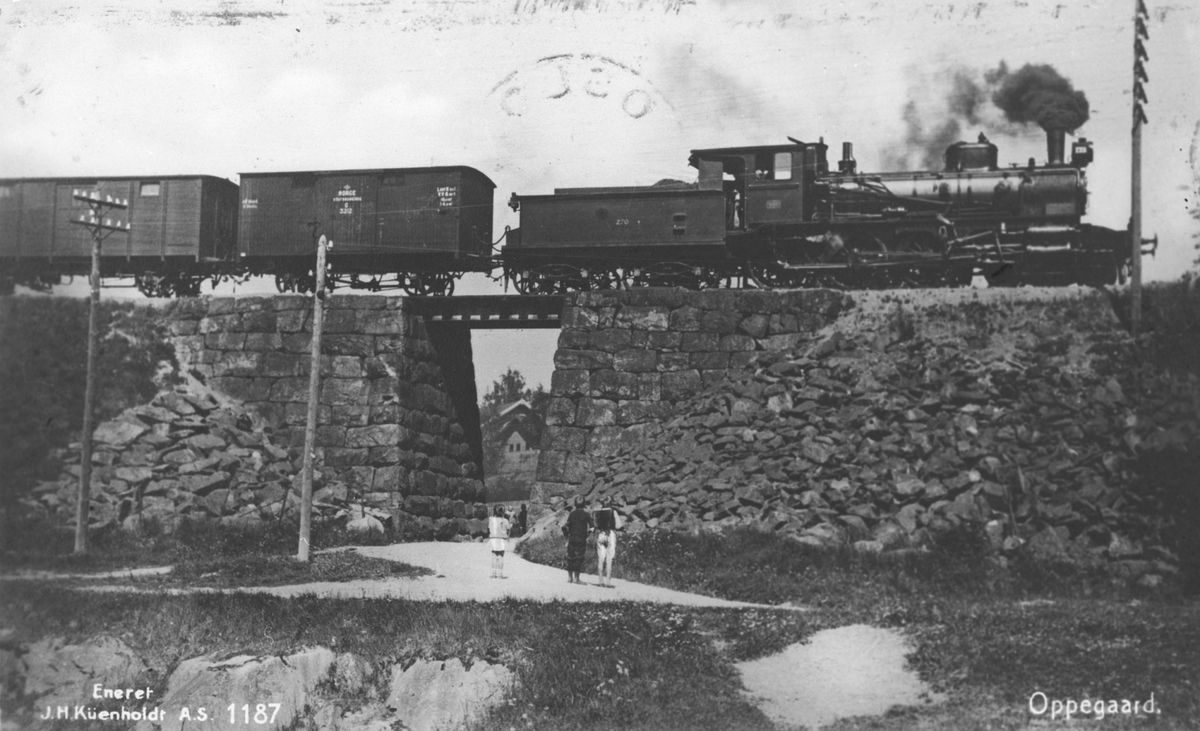 Godstog med damplokomotiv passerer en kulvert.