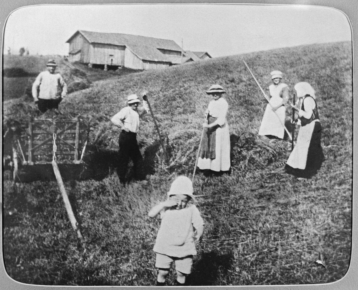 Høyonn på Rud. Mann lesser høy i høyvogna, en mann tråkker høyet, 3 ...