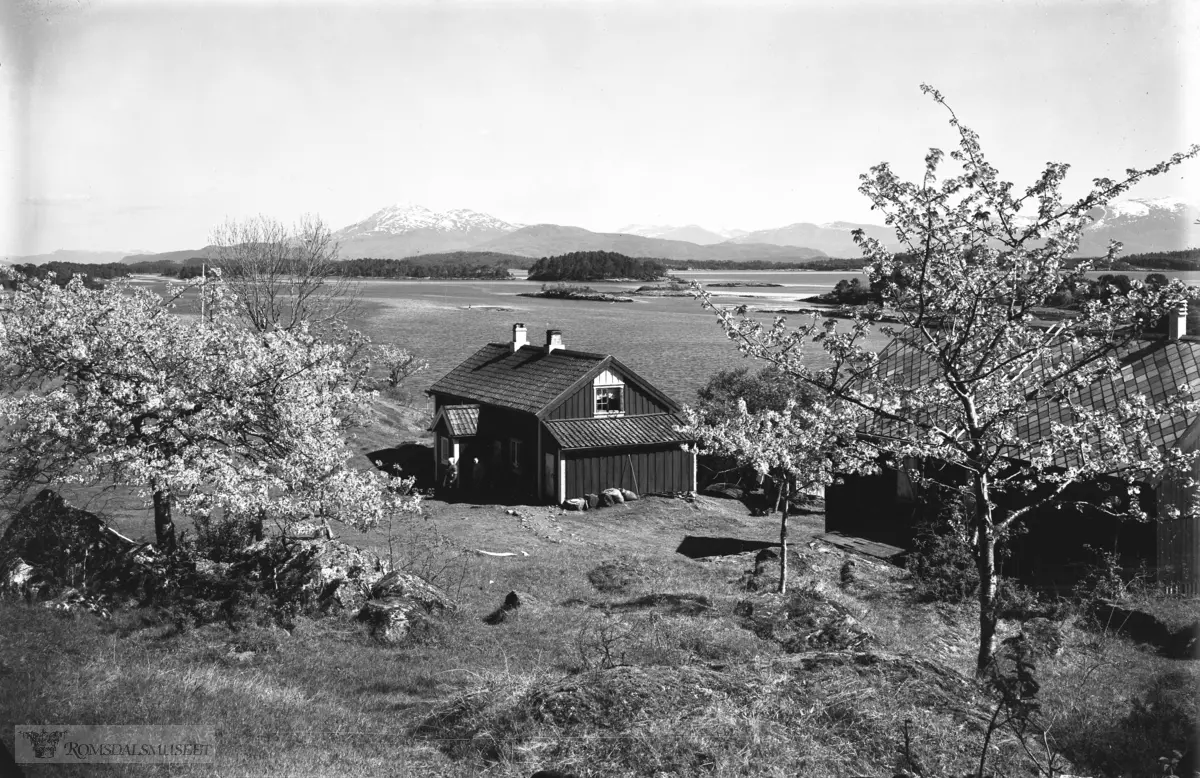 Hjertøya husene med morelletrær..Hjertøyplassen med Skåla i bakgrunnen.