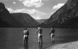 "nr 218. Et bad i Litlevatnet i 1941". .Fra Storsanden ved L