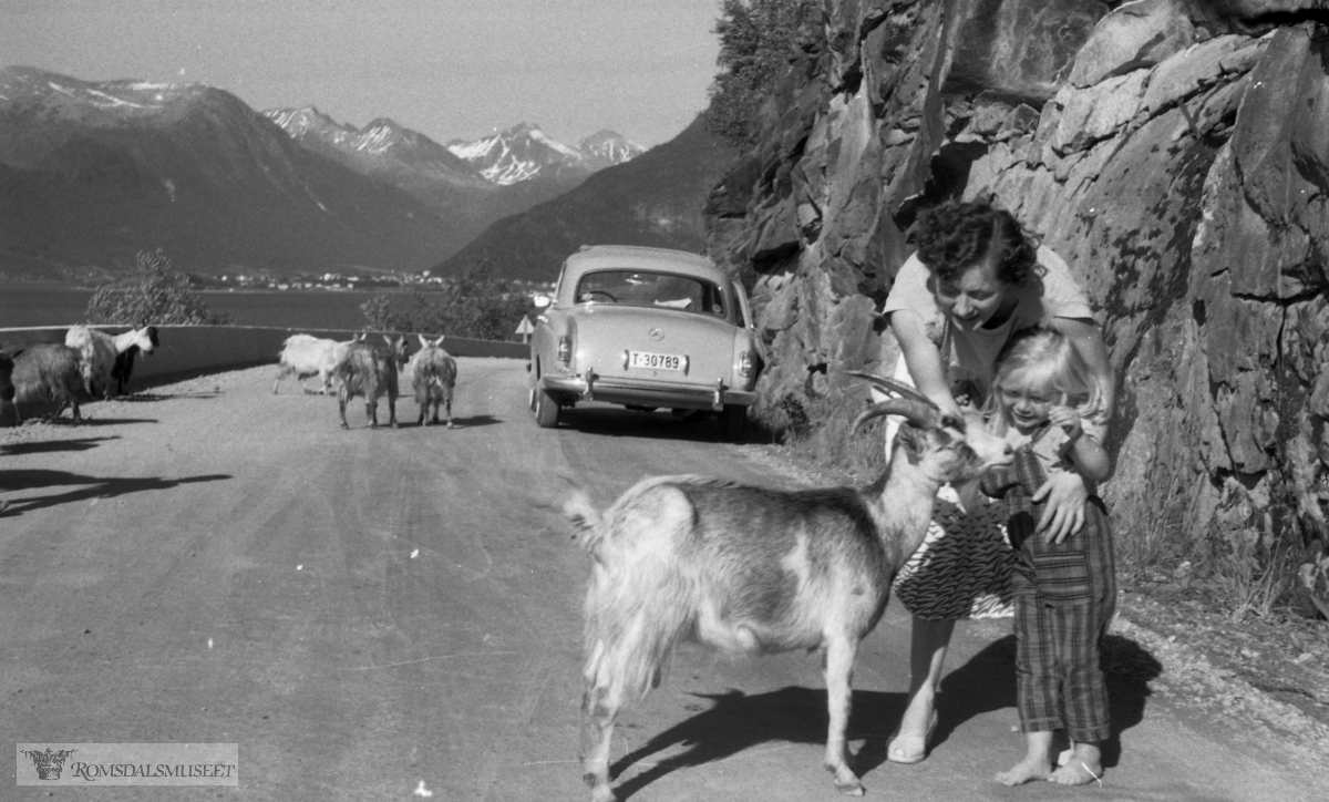 Gamleveien fra Innfjorden mot Åndalsnes. .(Film merket "1959. Jonsok, ?, Molde, Valldal, Eidsdal"). .Bilen er en Mercedes 219 1957 mod med reg nr T-30789.