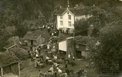 Bryllupet til Jenny Petra Gunhilde Gyldenaas f.02.07.1889 g.