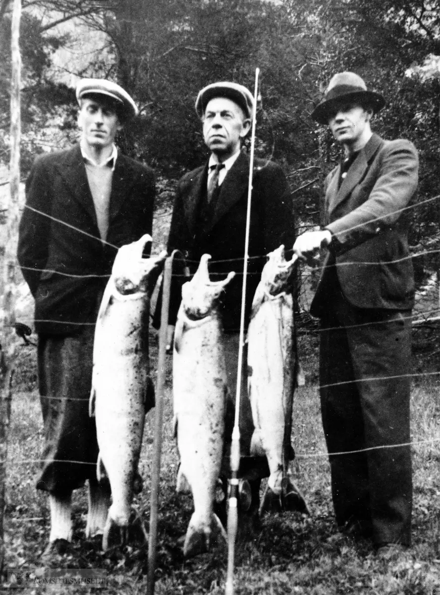 Laksefiske i 1964.