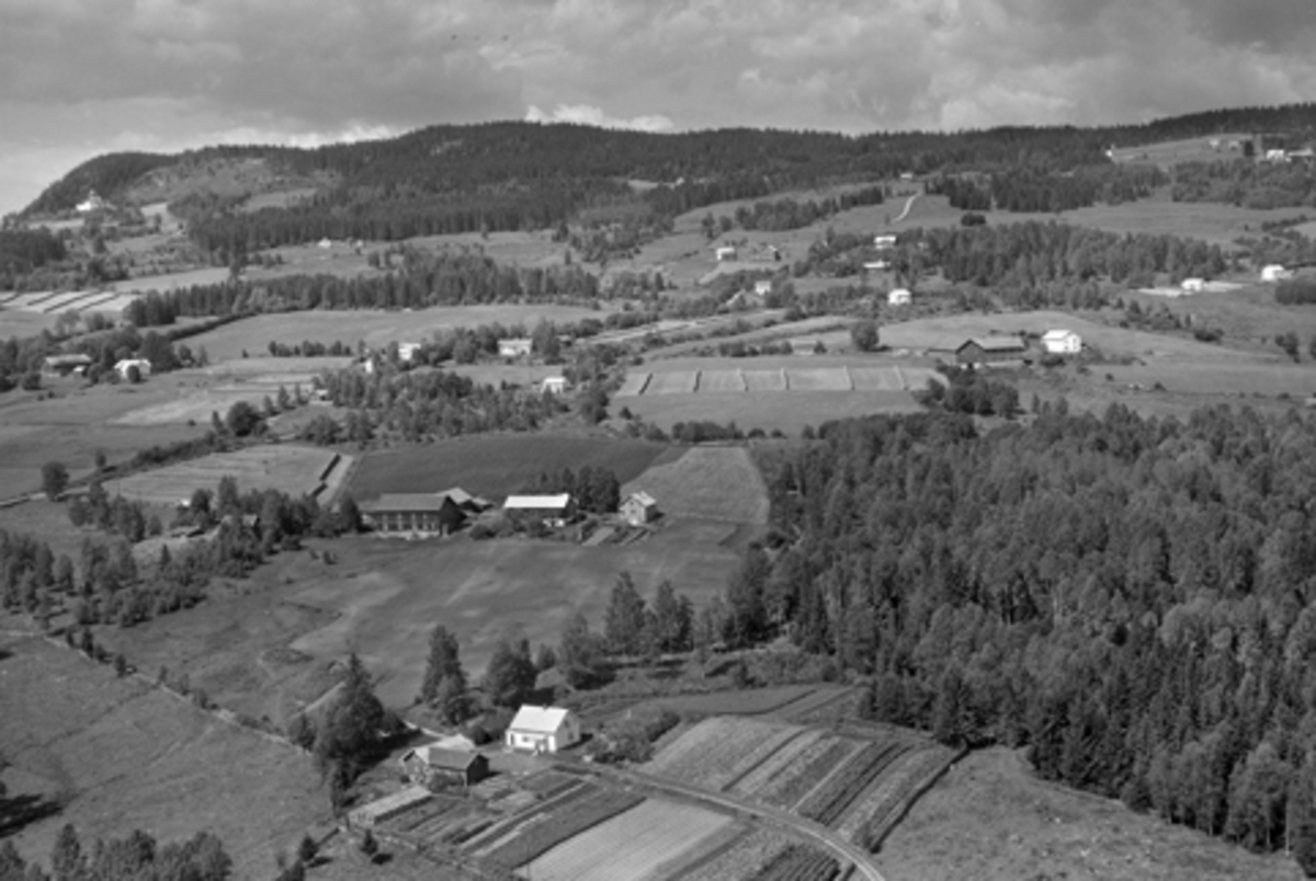 Flyfoto av Haugersveen, frk. Hauglis gartneri, Furnes, Ringsaker.