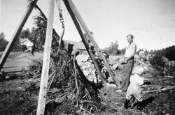 Nydyrking med bruk av stubbebryter på Maurudbakken, Helgøya.