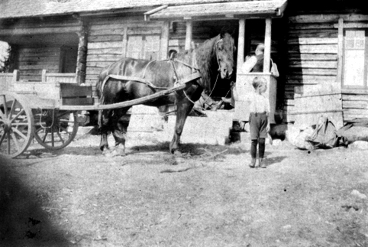 Bjørnstadsetra på Lauvlia, Nes Almenning. Hest og vogn foran størhuset. Erling Feiring f.1915 holder hesten.