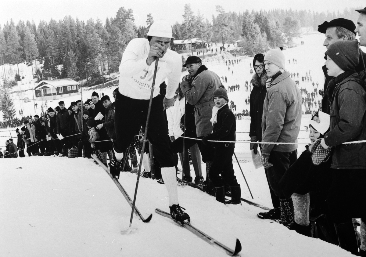 NM på ski, 1964, Ole Ellefsæter med nummer  57 på Alhaugjordene, 50 km, Alu østre, Furnes, Ringsaker.
