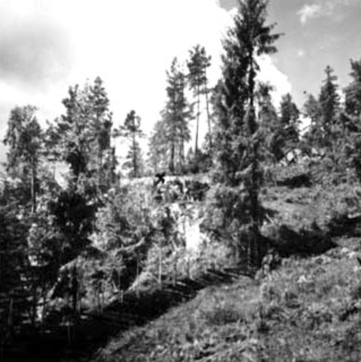 Domstuguberget, prestergardsskogen, bygdeborg fra folkevandringstiden. Oppmålt av Anders Hagen fra universitetets oldsaksamling i juni 1943.