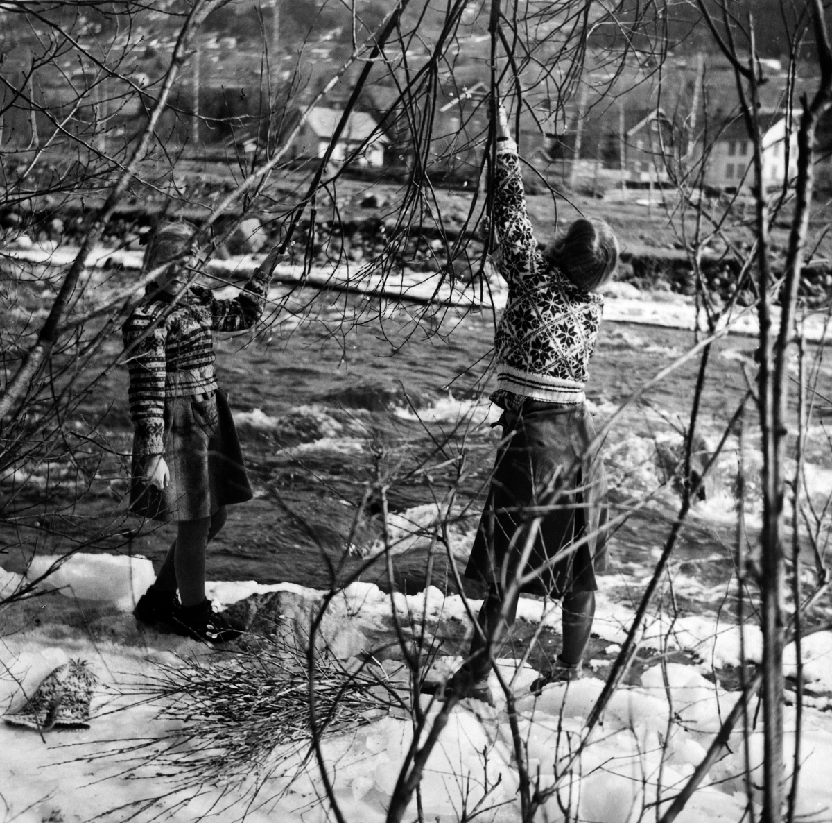 Ingeborg Beilegaard f. Rønning og Inger Kari Rønning plukker "gåsunger" langs Brumundelva ved Øverkvern gard, mars 1944