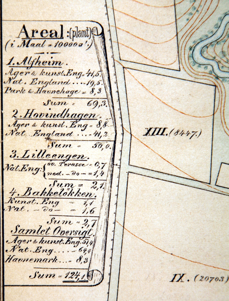 Kart over Alfheim-detalj