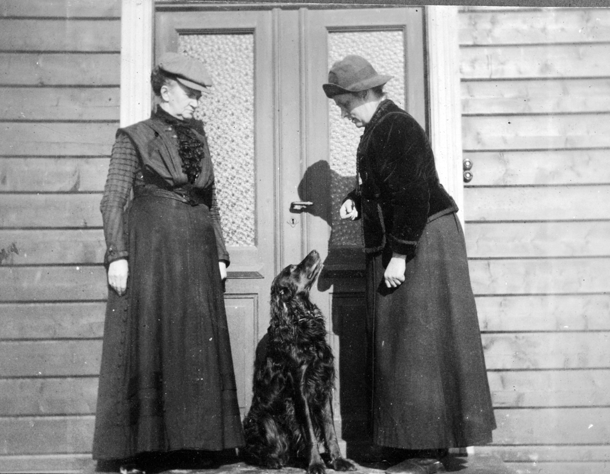To kvinner med hund
