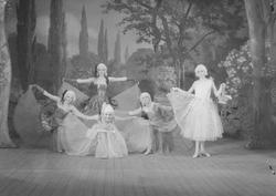 Fra Sportklubben Freidigs kabaret "Ajungilak" i 1932 i Cirku